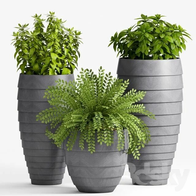 11. Plants Free Sketchup Model Planta de decoração interior, Como plantar bambu,