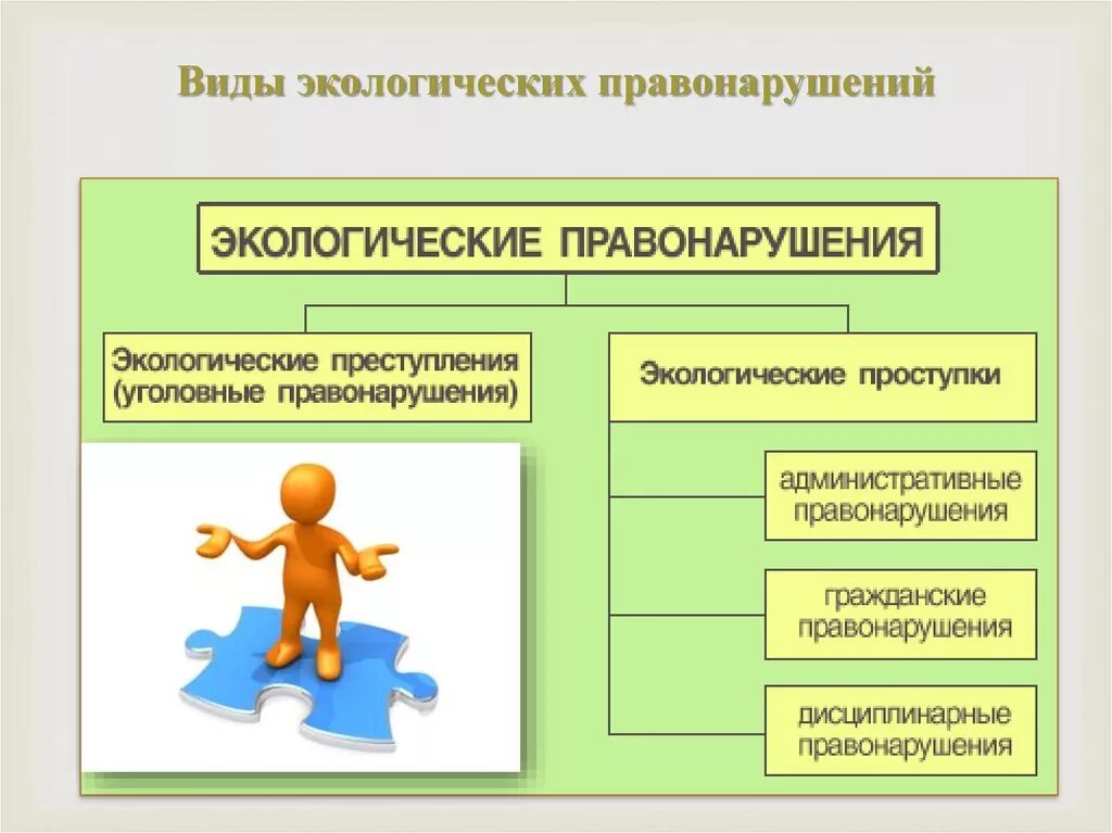 Какие экологические преступление. Экологические правонарушения. виды экологических правонарушений. признаки экологического правонарушения. понятие и виды экологических правонарушений.