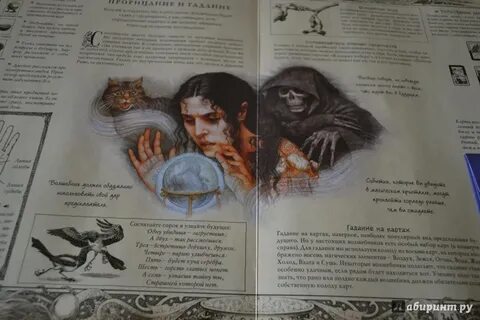 Читать книгу дневник мага