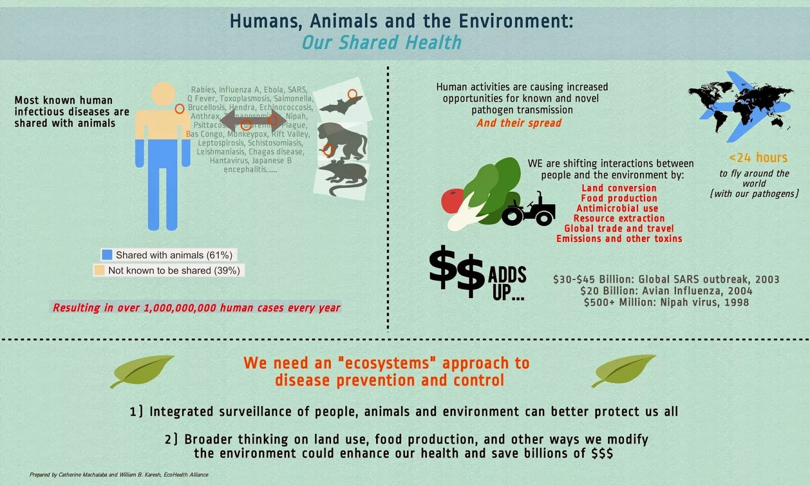 Humans and the environment. Outbreaks of diseases профилактика. Animal ecology and Human. Environment pollution animal.