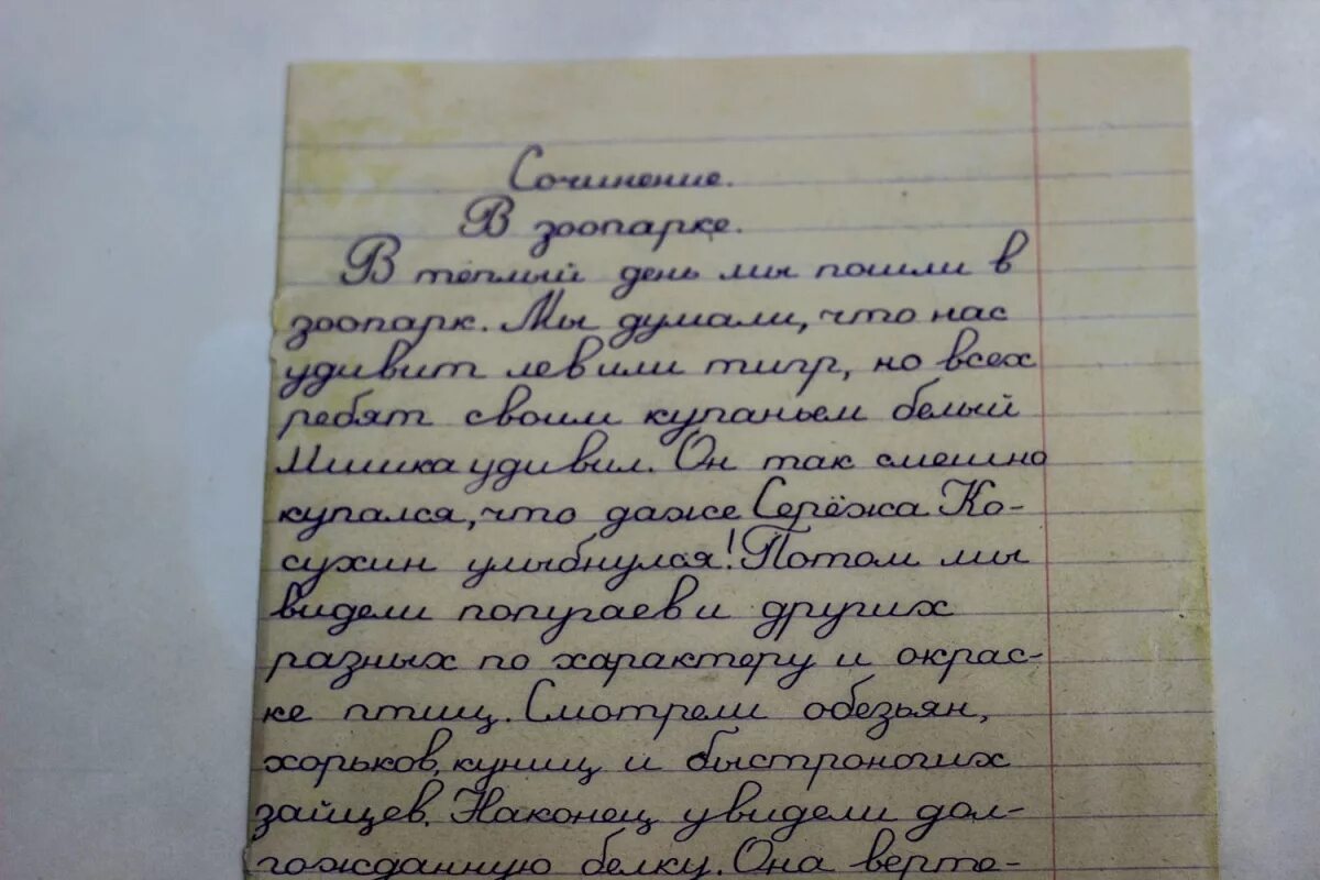 Сочинение по зоопарку. Сочинение на тему зоопарк. Сочинение на тему поездка в зоопарк. Сочинение на тему животные в зоопарке. Хат сочинение