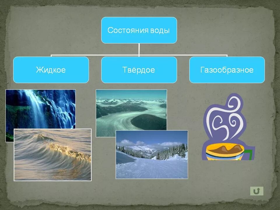 Жизнь в океане география 6 класс кратко. Мировой океан 6 класс география. Океаны 6 класс география. География 6 класс тема мировой океан. Мировой океан проект 6 класс.