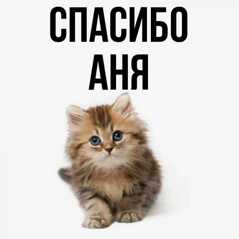 Спасибо ане. Спасибо аня. спасибо оля. спасибо оля картинки. стикер спасибо оля.