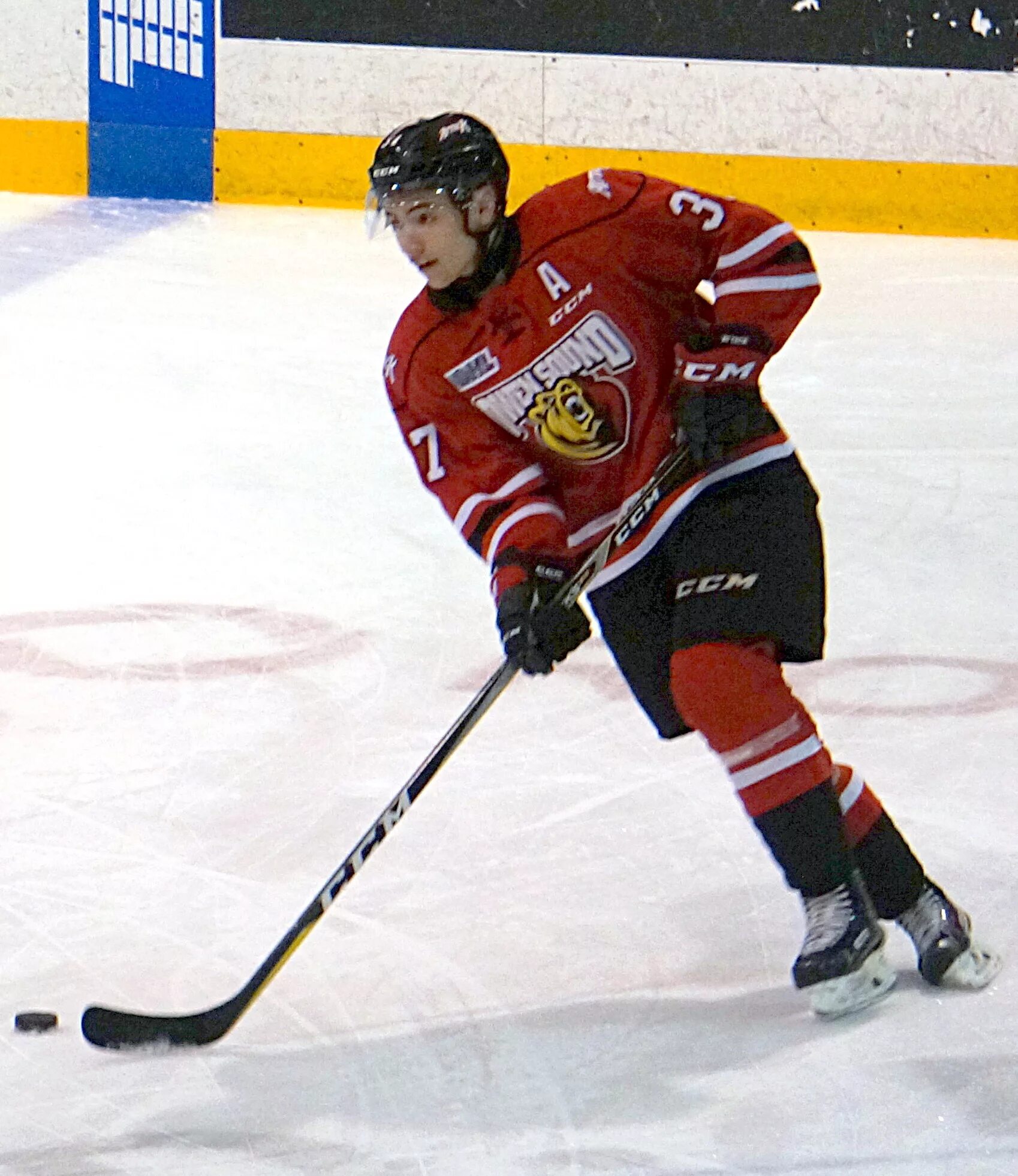 Nick suzuki. Монреаль канадиенс. Ник судзуки хоккеист. Nick suzuki. Ник сузуки.