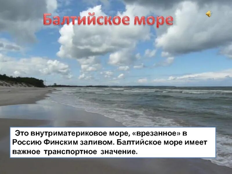 Богатство балтийского моря. Водные богатства Балтийского моря. Балтийское море рассказ. Балтийское море доклад.