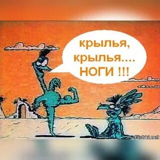 Крылья руки хвост