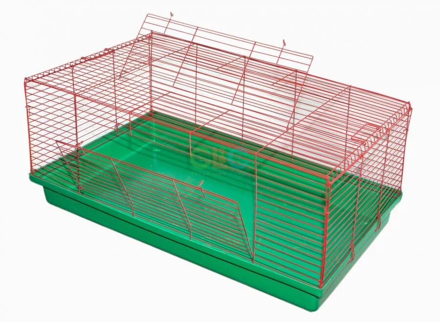 клетка для 2 кур несушек. клетка для кролика спб. клетка для кроликов ferplast krolik 140 plus 142х60х50 см. клетка д/грызунов imac cavia easy 80, 80х48. клетка ferplast 120 rabbit.