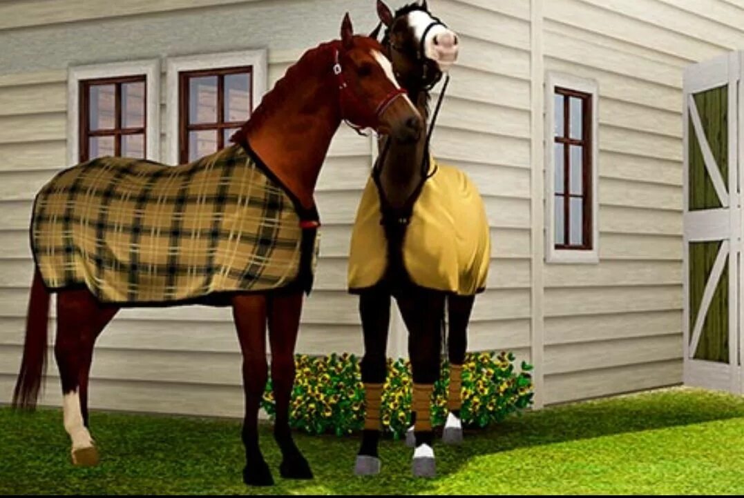 Верховая езда игры. Симс 3 конный спорт. Верховая езда симс 4. SIMS 3 Horse. SIMS 3 лошади.