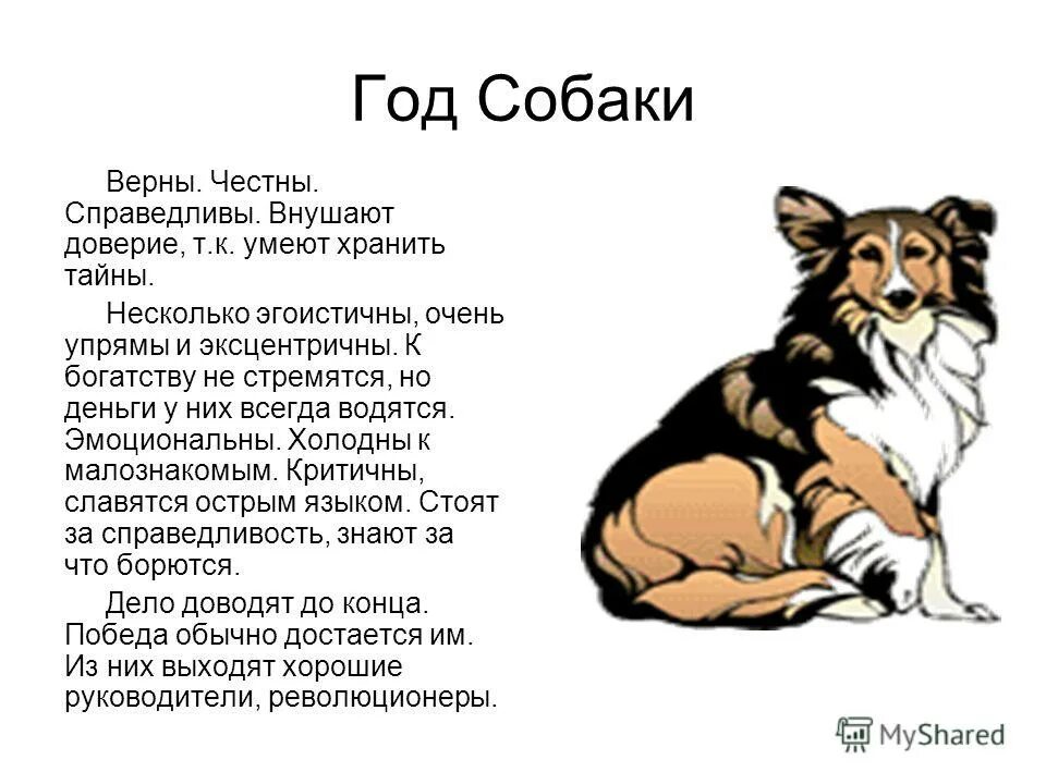 характер людей в год собаки. новогодний фон с собакой. рождённые в год собаки. родившиеся в год собаки. знаки зодиака собаки.