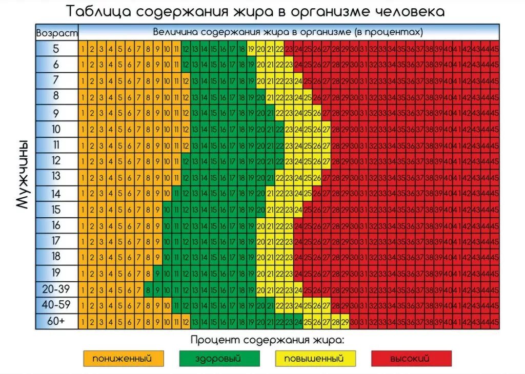 Таблица процентного содержания жира в организме человека. Жировая масса тела норма у мужчин. Норма жировой массы в организме. Жировая масса норма у мужчин по возрасту таблица.