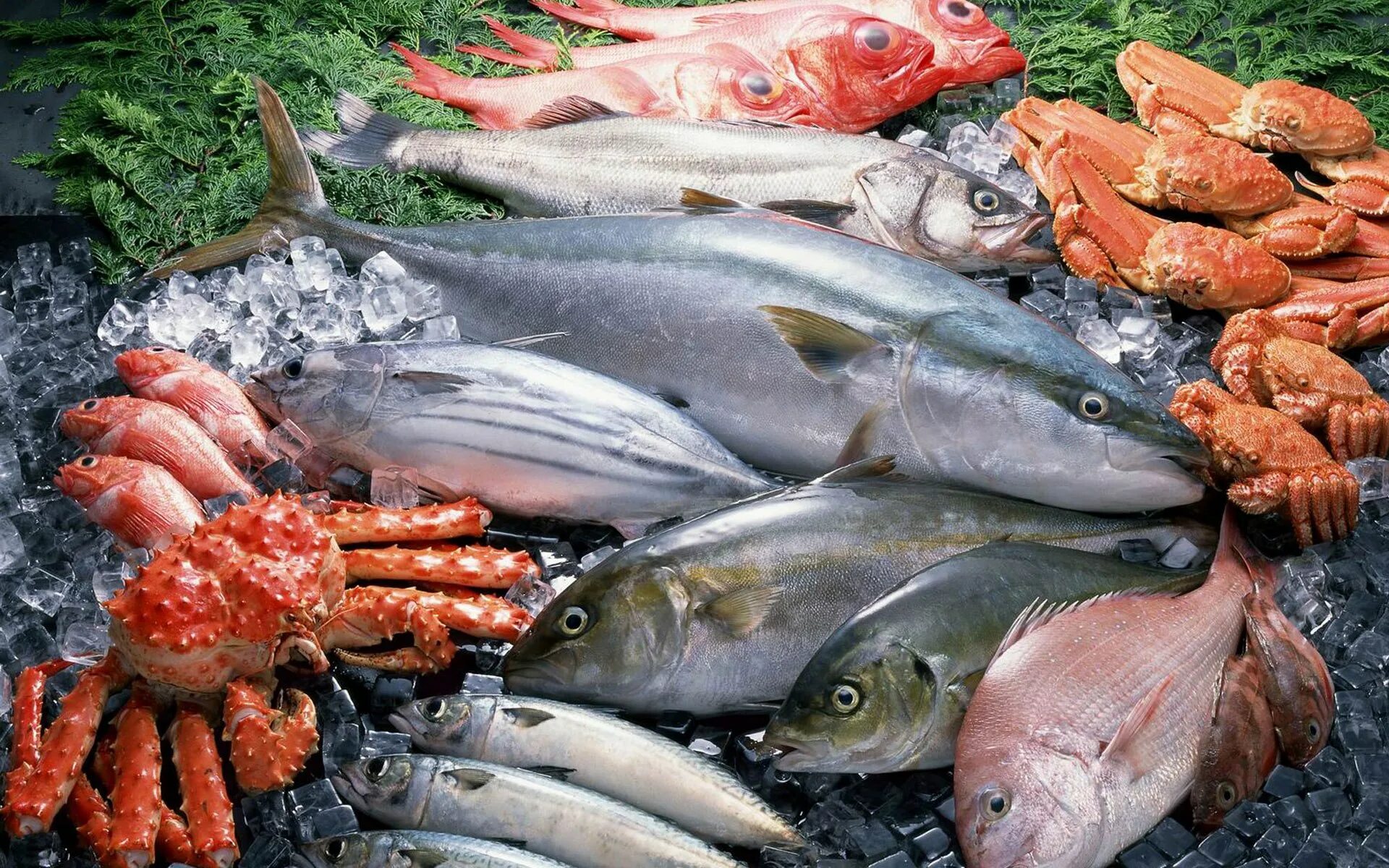 Мясо рыбы каких можно есть. Рыба. Рыбные продукты. Рыба и рыбопродукты. Рыба съедобная.
