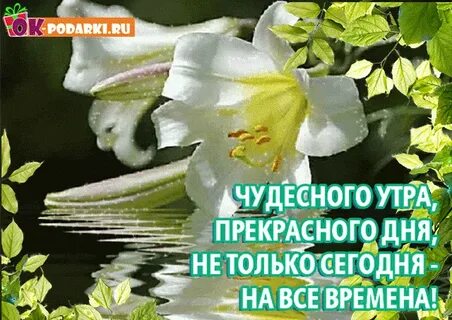 Благословенного утра и прекрасного дня