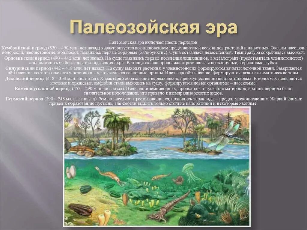 400 млн лет назад какой период. Палеозой, Палеозойская Эра. Кембрийский ордовикский силурийский. Палеонтология Палеозойская Эра. Палеозойская Эра (Эра древней жизни).