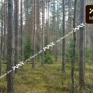 Северная жемчужина участки