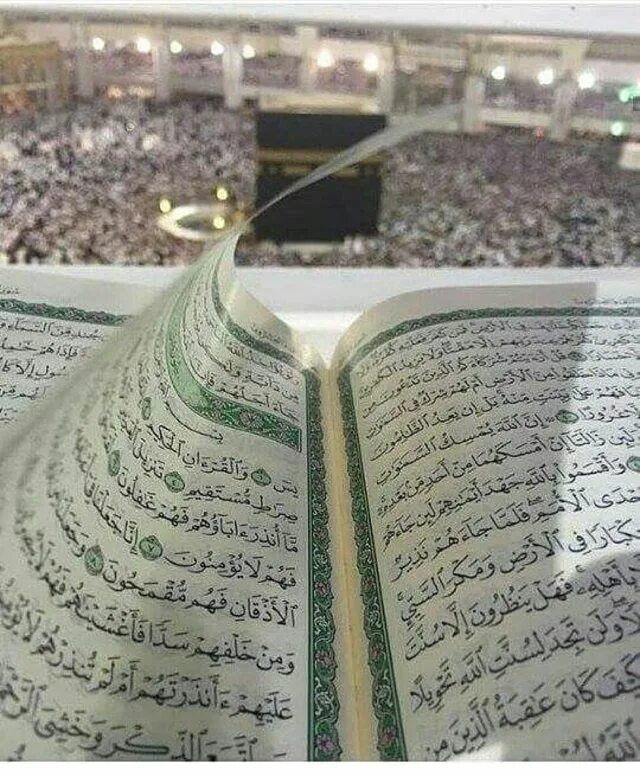 Коран в аль харам. Мекка Кааба Коран. Мека кабба Каран. Коран Мекка Медина. Мусхаф Мекка.