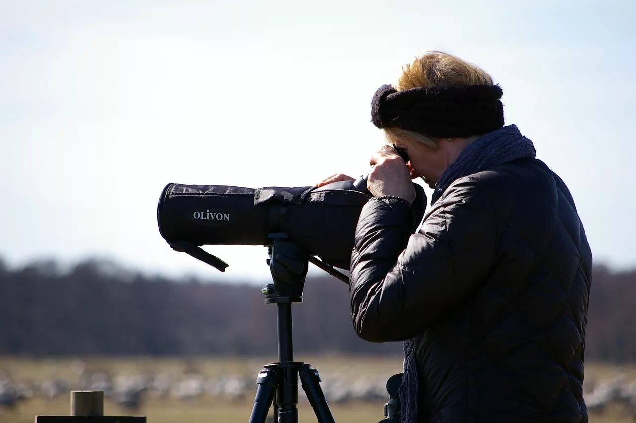 Bird watcher
