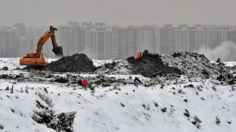 Кучино последние новости