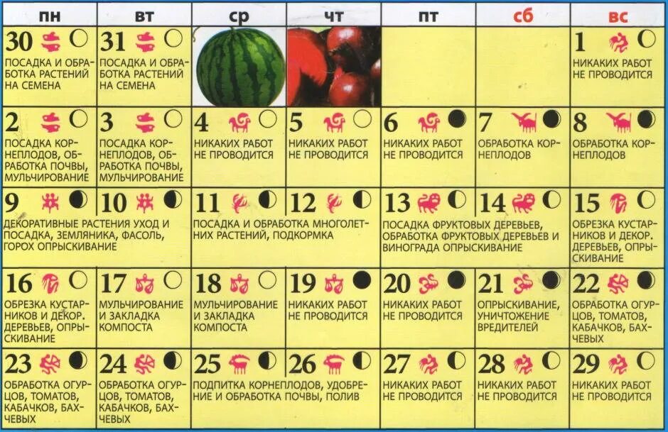 Лунный календарь. Лунный календарь для посева. Лунный календарь на октябрь. Посевной календарь на октябрь.
