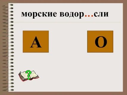 Водор сли корень