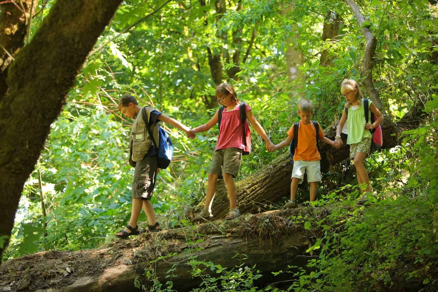 Child camping. Экскурсия в лес. Поход в лес с детьми. Прогулки в лесу с детьми. Экскурсия на природу.