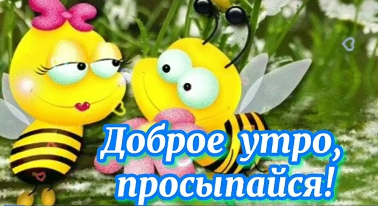 Песня сегодня денек замечательный. Хорошего настроения вам и прекрасного денечка. Песня сегодня денек замечательный. Винни. Песня сегодня денек замечательный.