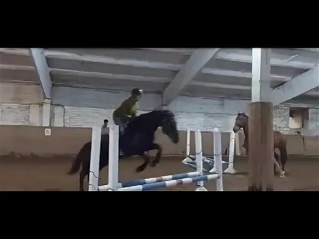 Спасти лошадей ведьмак 3