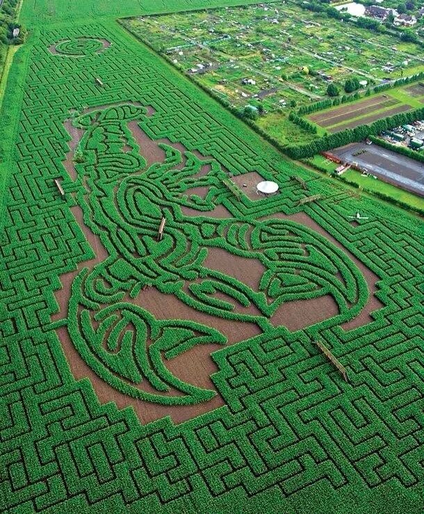 Лабиринт Лонглит Англия. Сад Лабиринт Вудсток. Лабиринт Longleat Hedge Maze. Самый большой Лабиринт в Англии.