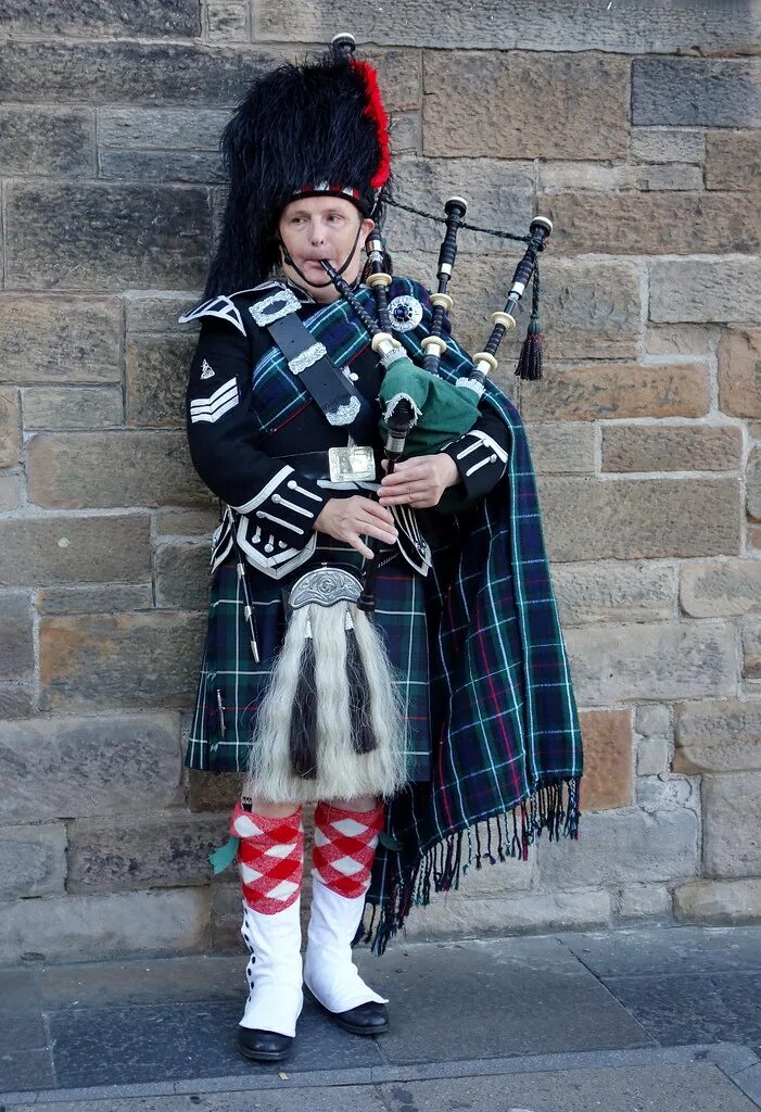 Волынка арт. Вавилонская волынка музыкальный инструмент. Волынка муз инструмент. Волынка прикол. Волынка 4.