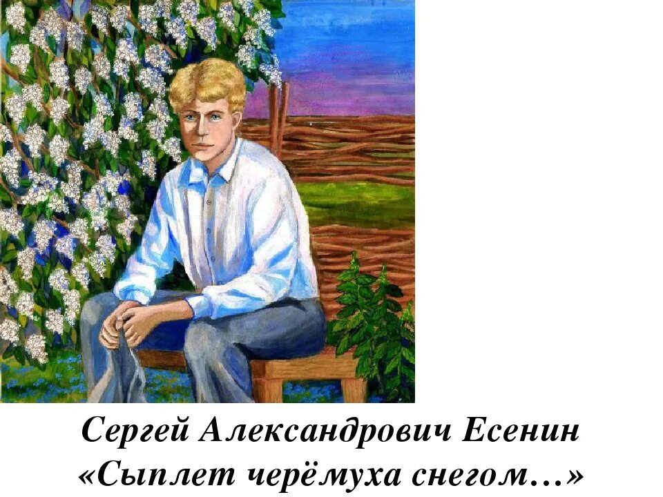 Стихотворение есенина сыплет. Есенин сыплет черёмуха снегом Есенин.