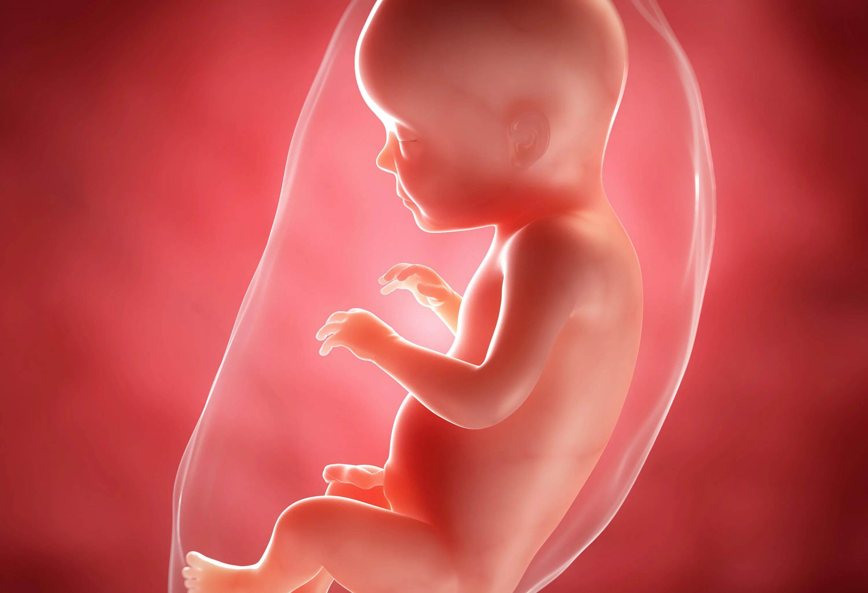 Как выглядит ребенок в 28 недель беременности. Ребёнок на 28 неделе беременности. Плод ребенка в 28 недель беременности. Ребёнок на 27 неделе беременности в утробе. Как выглядит ребенок в 28 недель беременности.