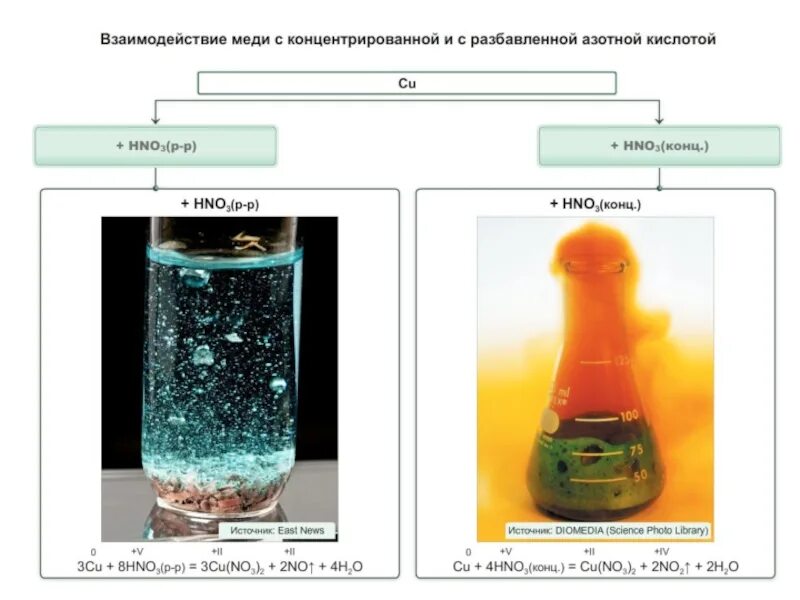 Взаимодействие азотной и концентрированной серной кислоты с медью. Взаимодействие меди с концентрированной азотной кислотой. Взаимодействие меди с разбавленной азотной и серной кислотой. Реакция взаимодействия концентрированной азотной кислоты с медью. Меди и разбавленного раствора азотной кислоты