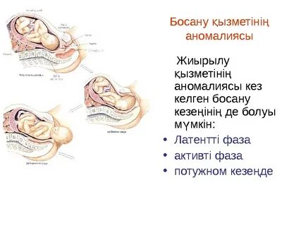 Вера Воронина қалай еркелетіп жатыр, видео