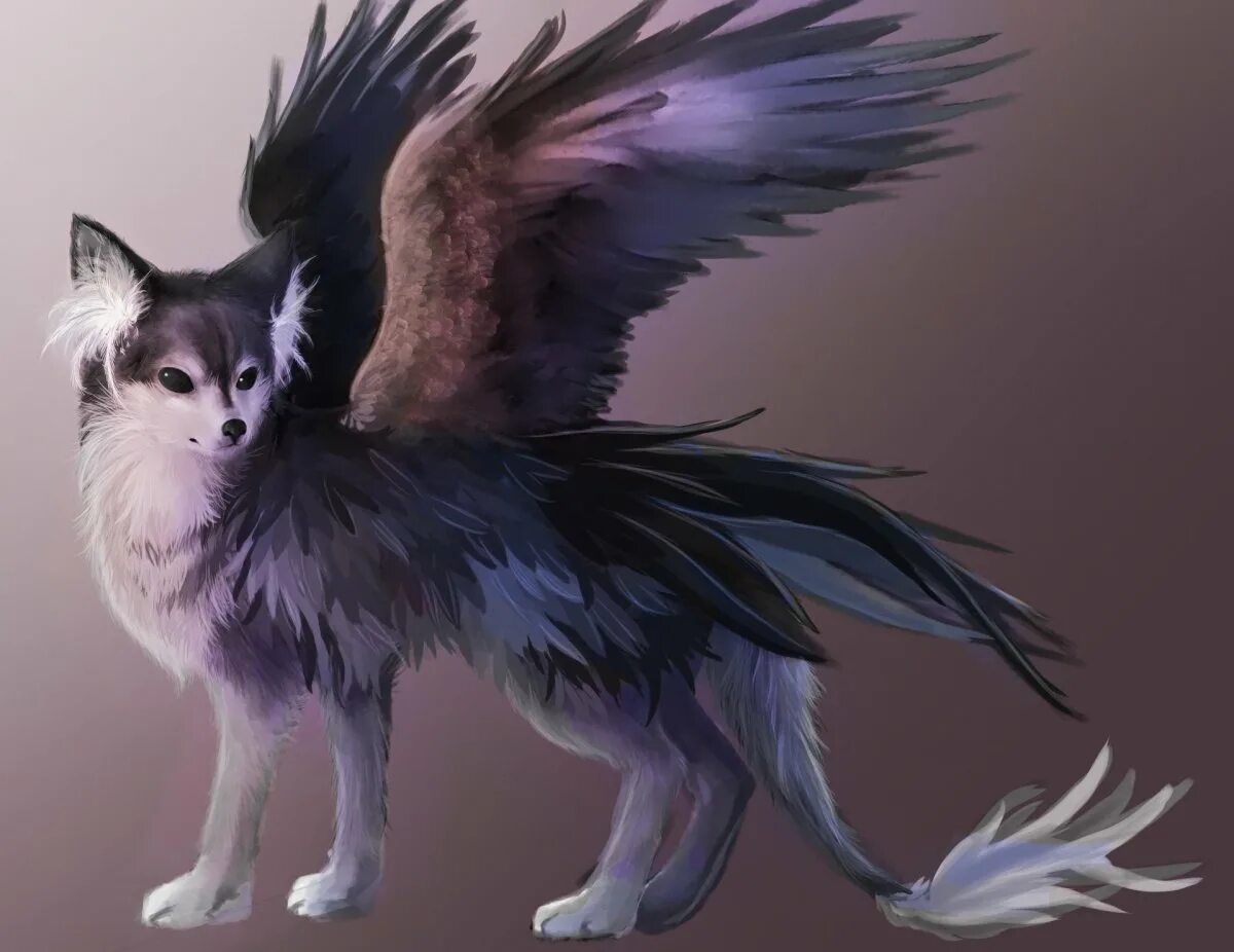 Крылатая собака. Симуран крылатый волк Огненный. Симаргл Симуран. Симураны крылатые волки. Фамильяр Грифон.