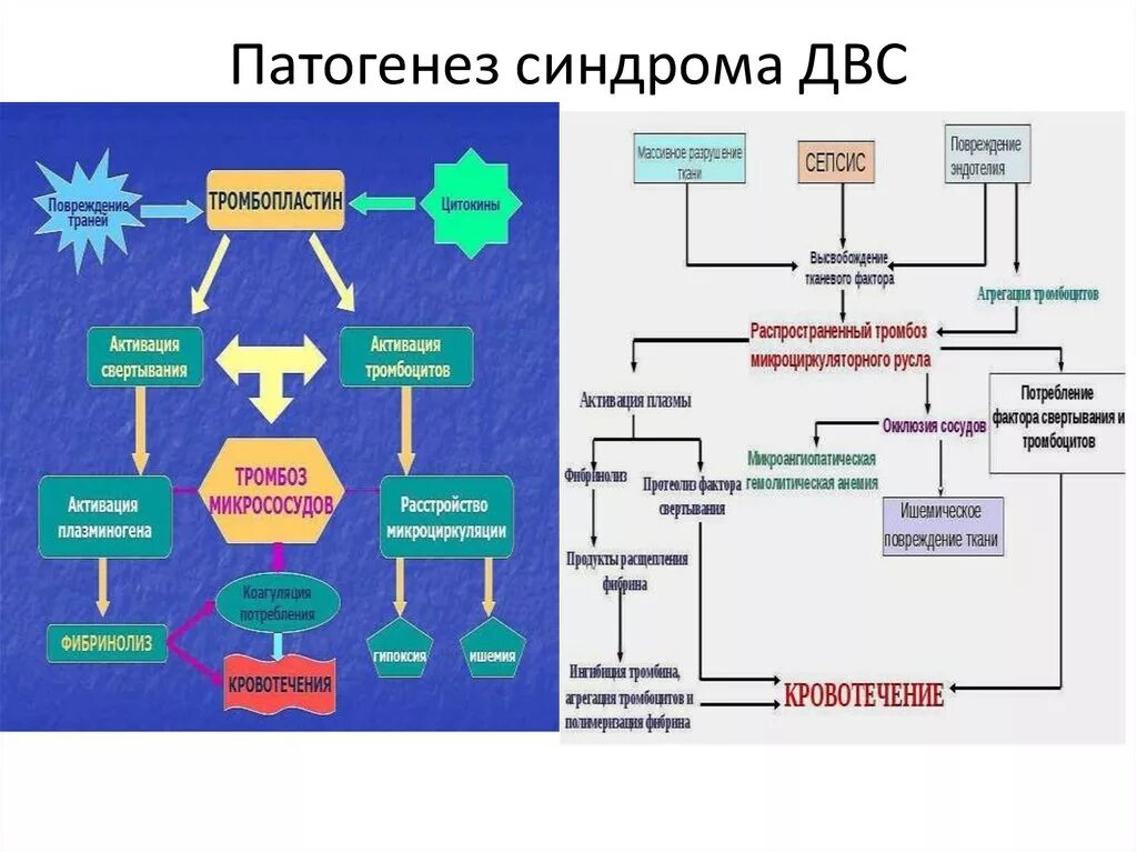 Развития двс синдрома. ДВС: этиология, патогенез, классификация.. Последовательность развития ДВС синдрома. Механизм развития 2 стадии ДВС синдрома. ДВС механизм развития Патан.