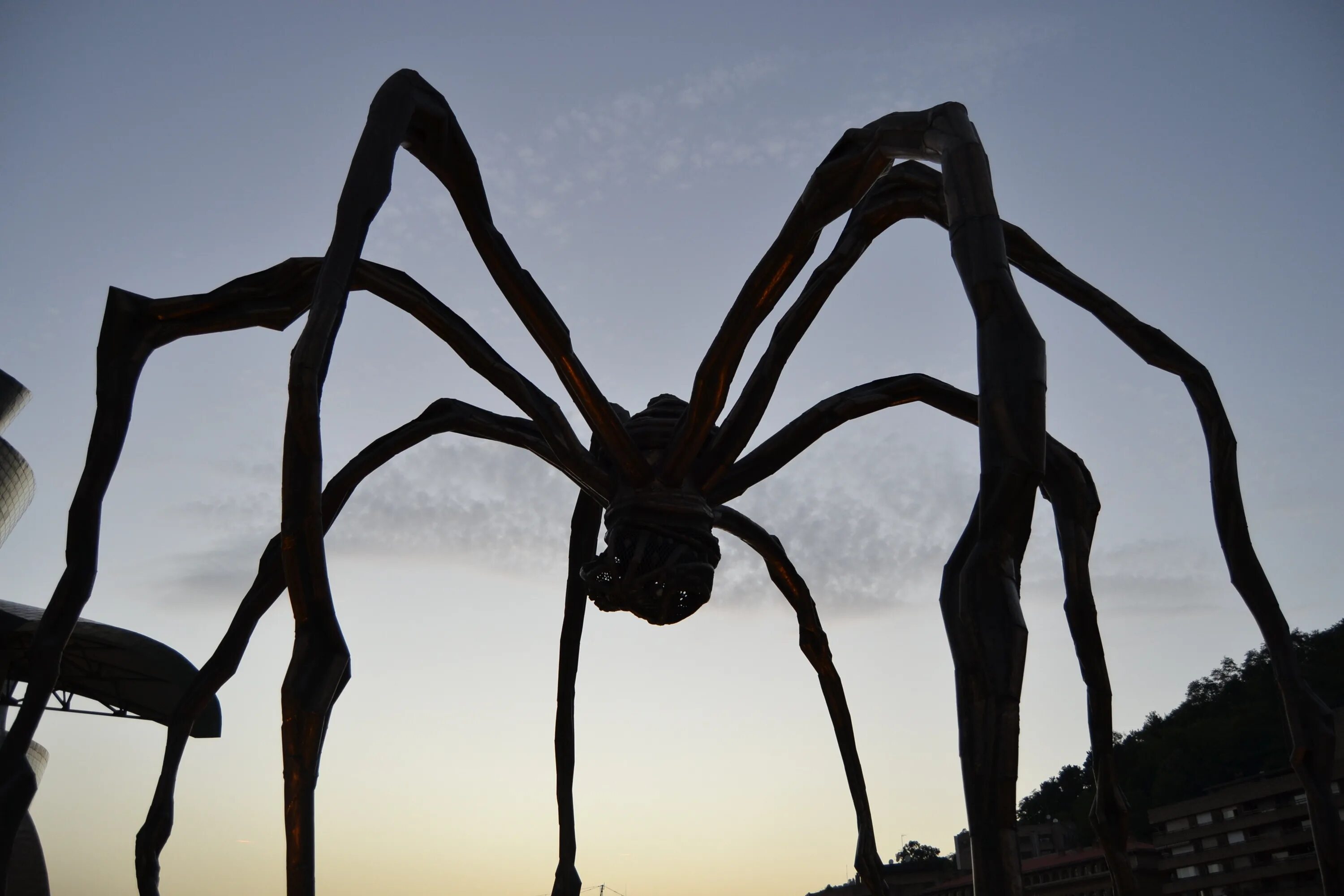 Птицеед Голиаф. Арахнид паук большой. Самый гигантский паук в мире. Страшные пауки гигантские.