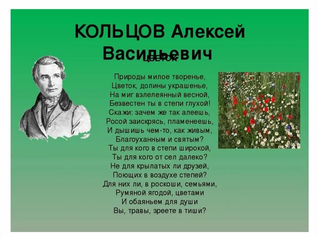 Проект по литературному чтению праздник поэзии. Ролект в мире детской поэзии. Стихотворение Кольцова. Презентации проекта в мире детской поэзии. Проект в мире детской поэзии 3 класс.