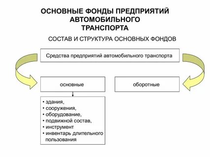 Общая структура организации это