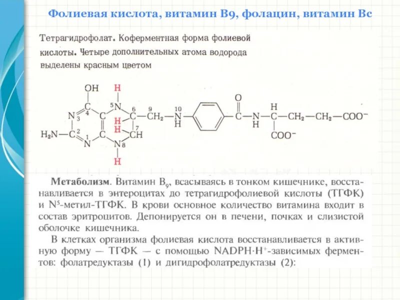 Коферментные формы витамина в9. Кофермент витамина в9. Фолиевая кислота функции биохимия. Витамин б9 фолиевая кислота формула.