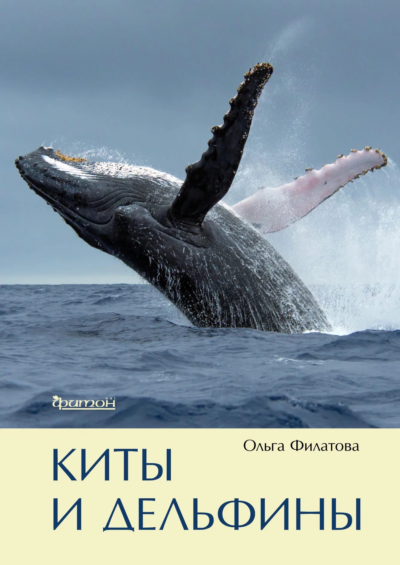 Книга про кита. Книга киты дельфины. Энциклопедия про китов.