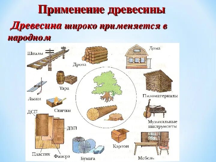 Презентация "Столярная обработка. Основные понятия"