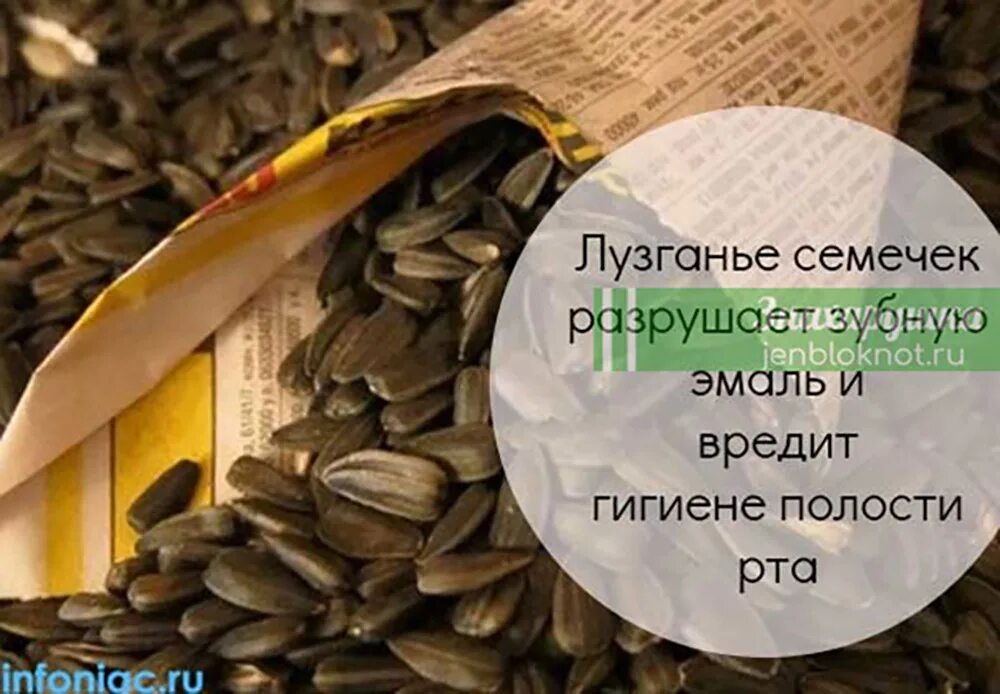 Можно есть семечки ночью. Щелкать семечки. Лузгать семечки. Для щелкания семечек. Семечки щелчок.