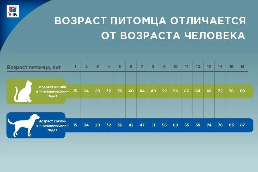 13 собачьих лет в человеческих. Таблица возраста собак по человеческим меркам таблица. Таблица возраста собак по человеческим меркам мелких пород. Сколько по человеческим меркам собаке лет 2 года таблица. Возраст собаки и кошки по человеческим меркам таблица.