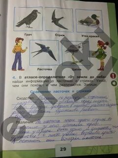 Окружающий мир 1 класс с 29
