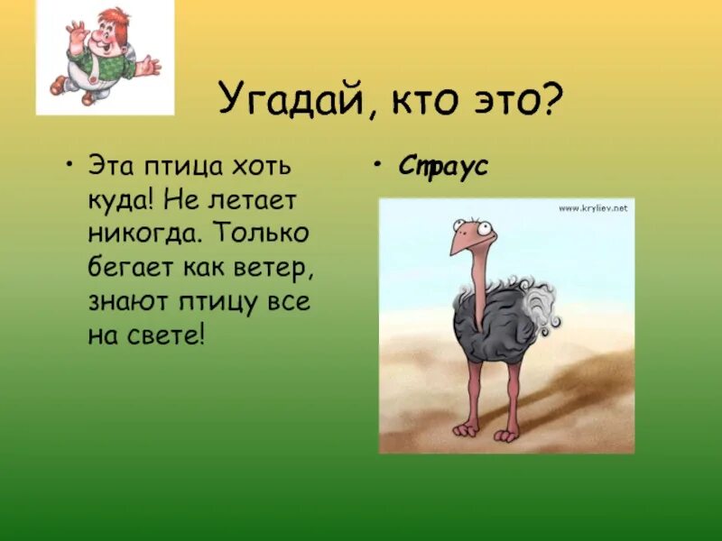 Не знаю угадай. Страус птица бегает как ветер. не летать. летает не летает. угадай кто. бегает, как.