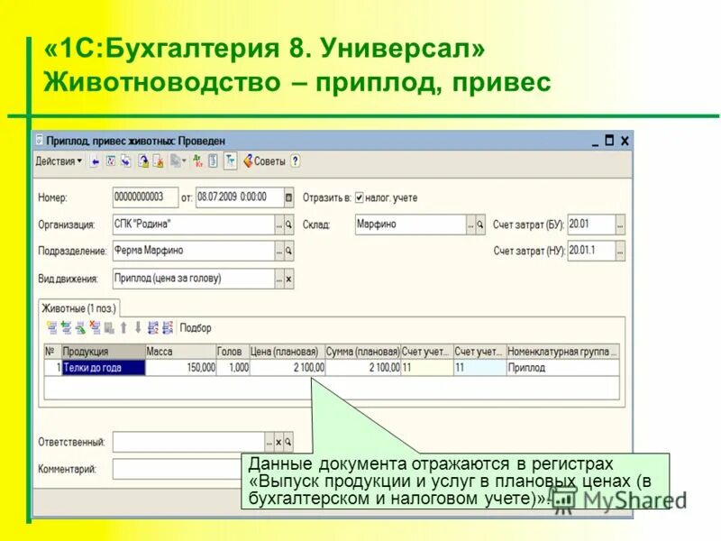 Документы отражающие деятельность организации