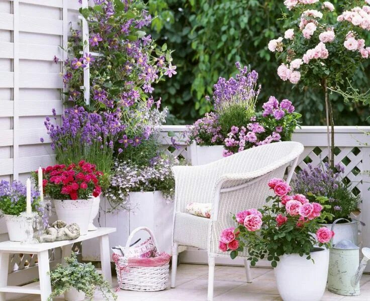 Balcony gardening. Лаванда на веранде в горшке. Цветы на балконе. Цветы на веранде. Украсить балкон цветами.