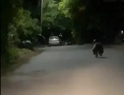 Первоуральск видео
