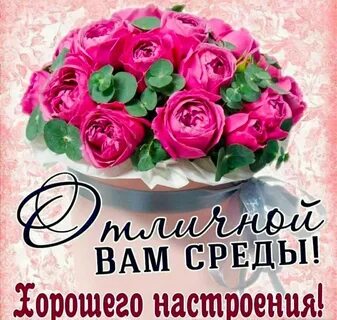 Доброй среды в прозе