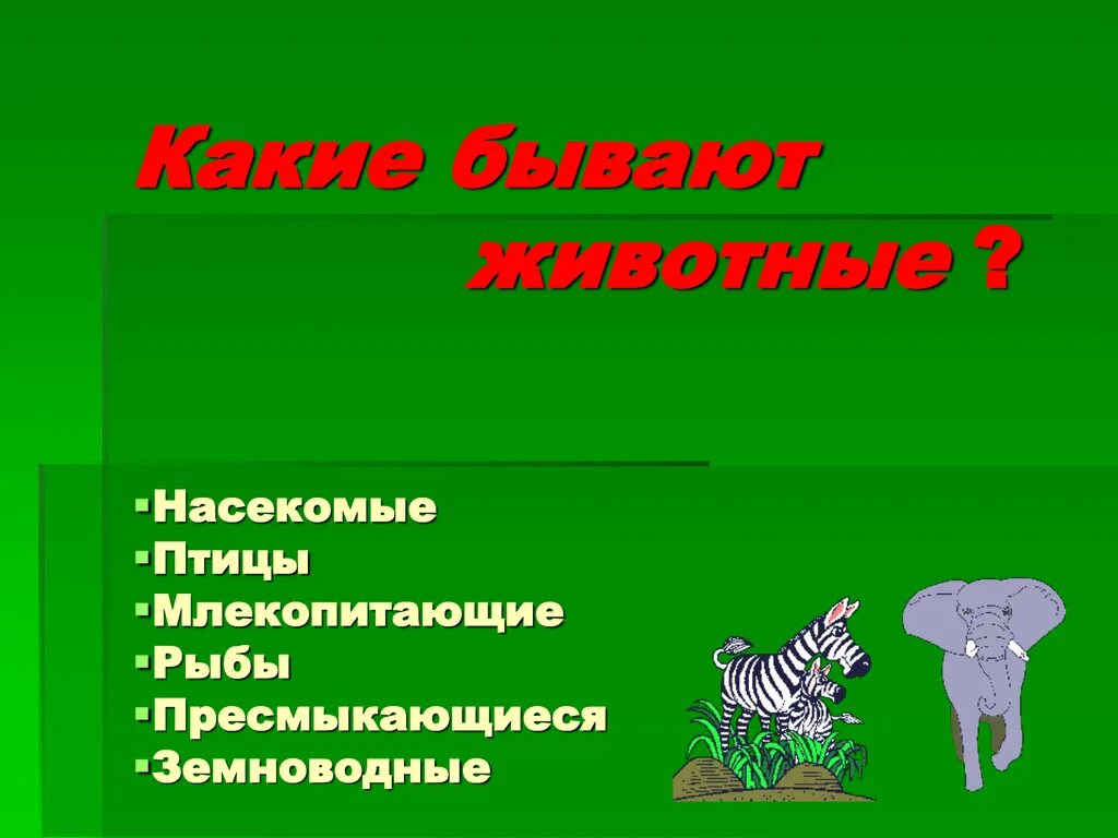 Животные это определение. Млекопитающих животных. Млекопитающие звери. Животные для презентации.