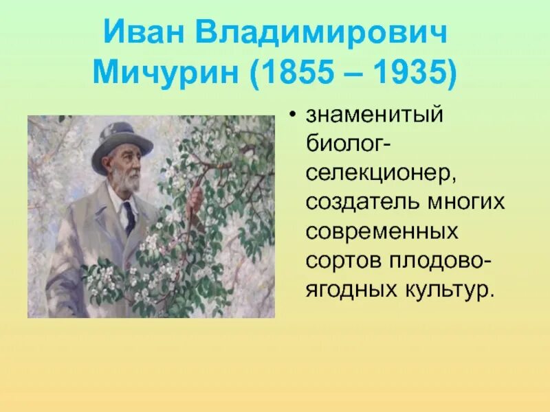 Работа мичурина селекция. Работа мичурина селекция